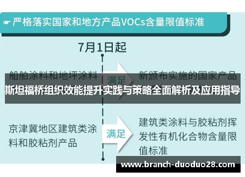 斯坦福桥组织效能提升实践与策略全面解析及应用指导