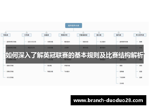 如何深入了解英冠联赛的基本规则及比赛结构解析