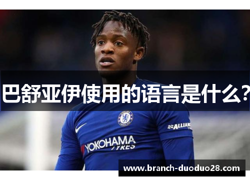 巴舒亚伊使用的语言是什么？