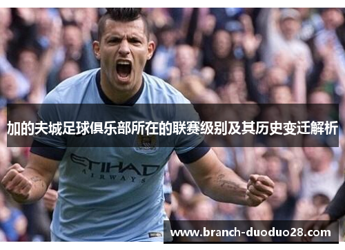 加的夫城足球俱乐部所在的联赛级别及其历史变迁解析