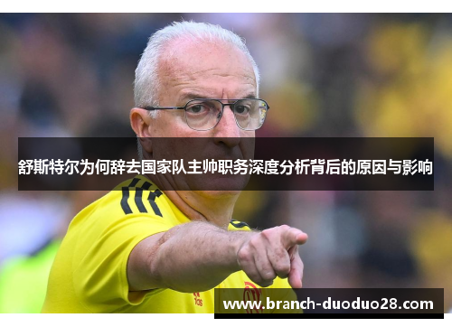 舒斯特尔为何辞去国家队主帅职务深度分析背后的原因与影响