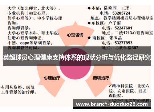 英超球员心理健康支持体系的现状分析与优化路径研究
