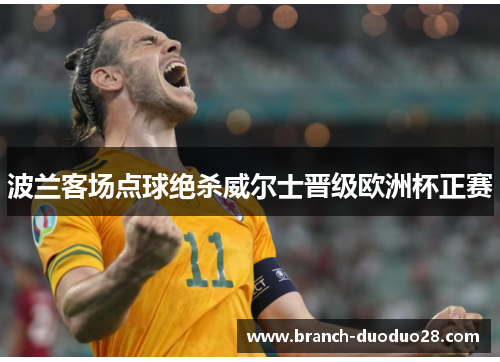 波兰客场点球绝杀威尔士晋级欧洲杯正赛