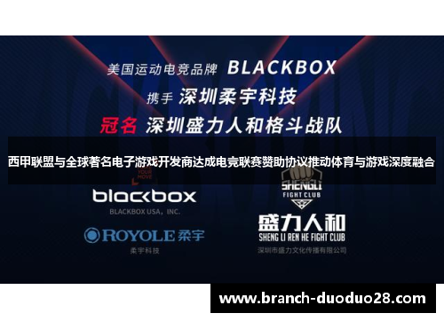 西甲联盟与全球著名电子游戏开发商达成电竞联赛赞助协议推动体育与游戏深度融合
